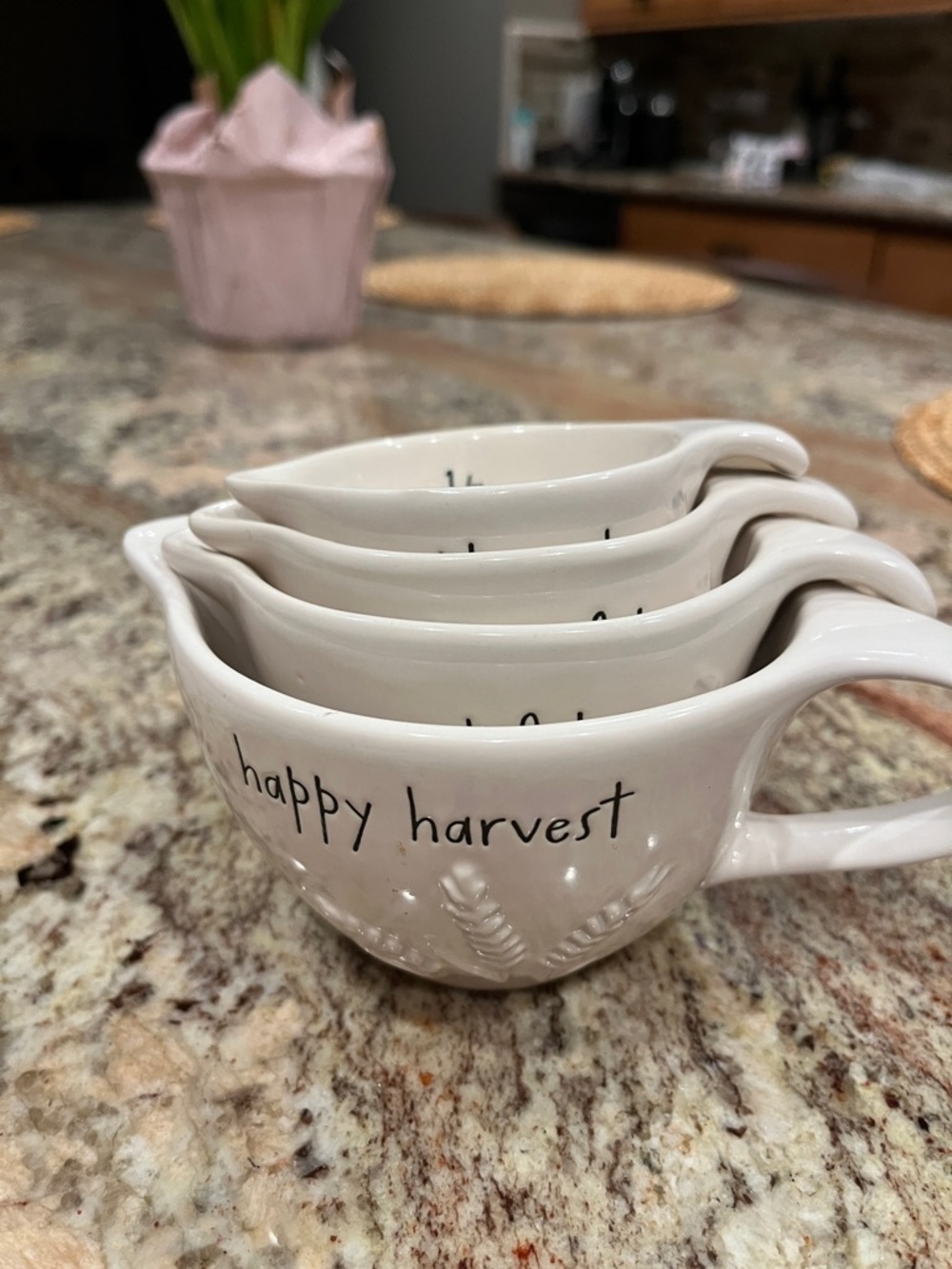 Rae Dunn Cream 'happy harvest' Ceramic Measuring Cups Set